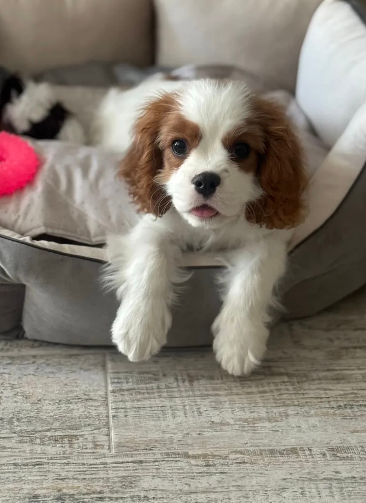 Photo shared by Kim